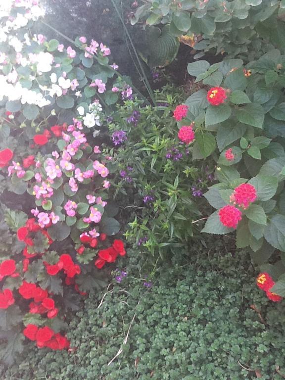 South Bridge Bed And Breakfast Filadelfia Exterior foto